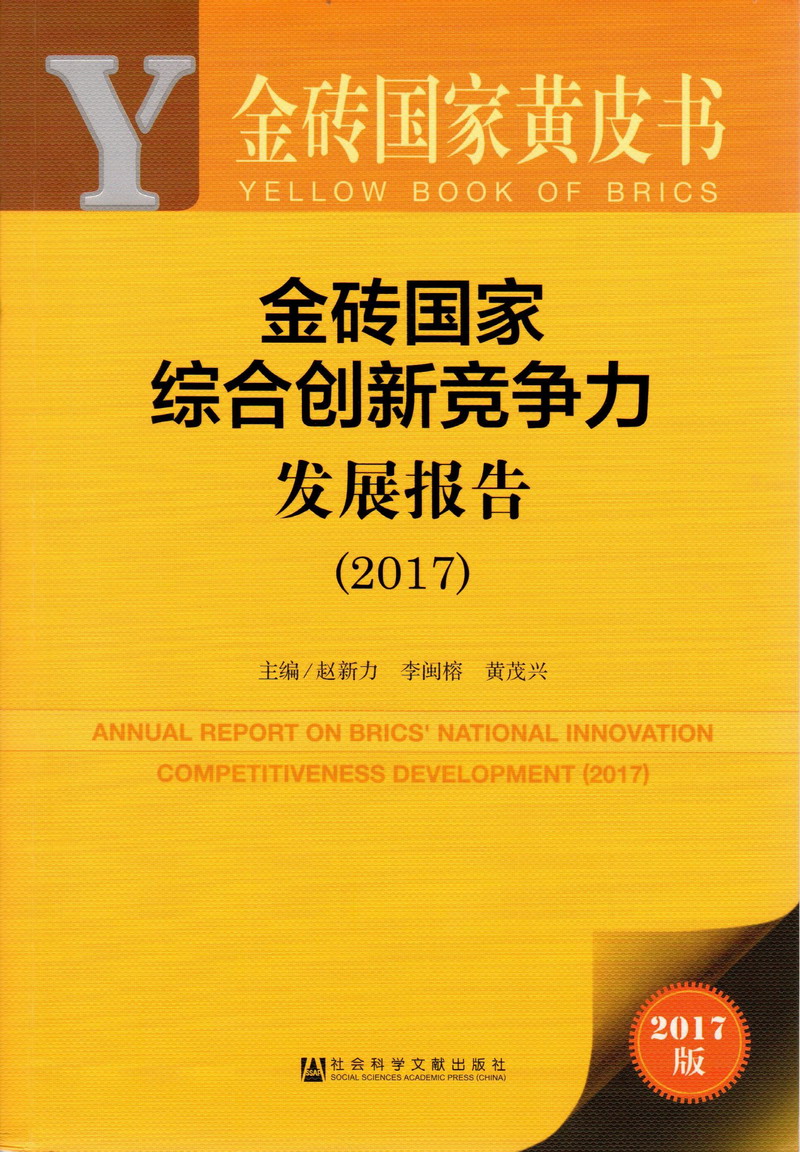 性爱强奸黄网站免费金砖国家综合创新竞争力发展报告（2017）